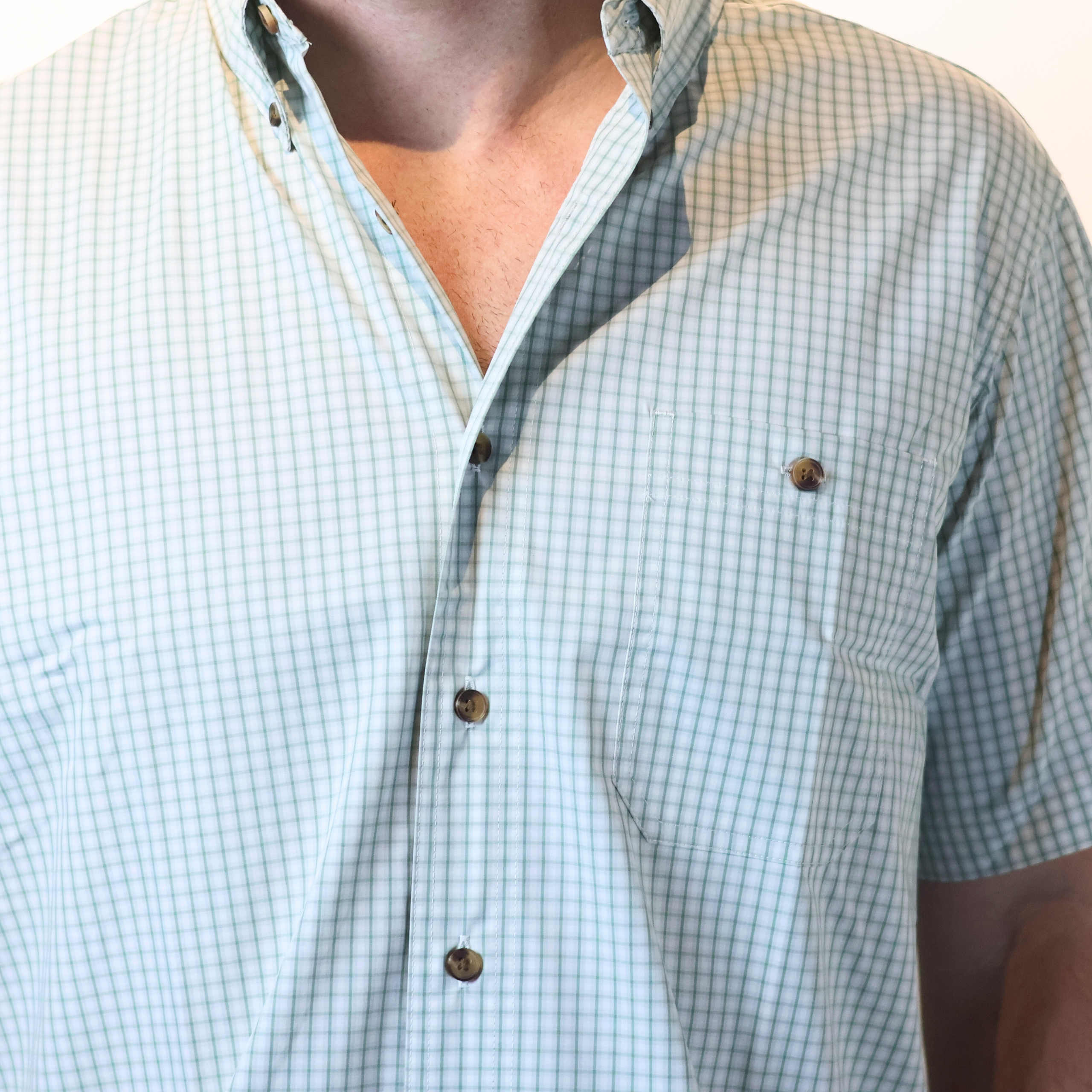 Western Button Down